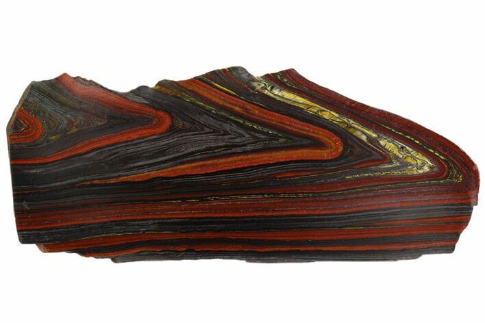 Polished Tiger Iron Stromatolite - Billion Years #129269